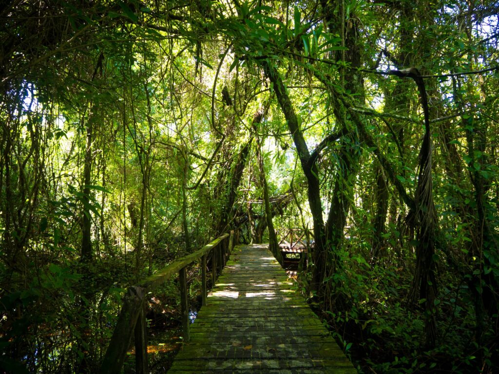 Cayo Zapatilla walking trail