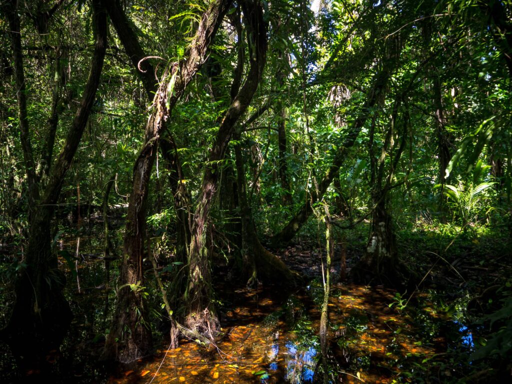 Cayos Zapatillas walking trail