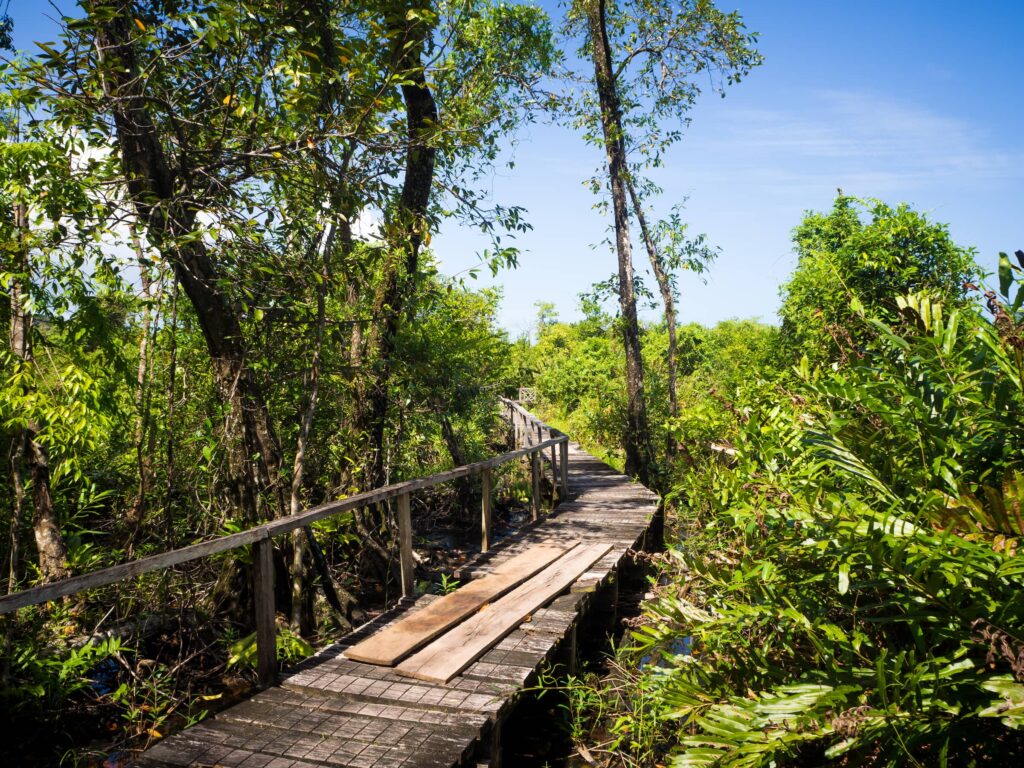 Cayo Zapatilla walking trail