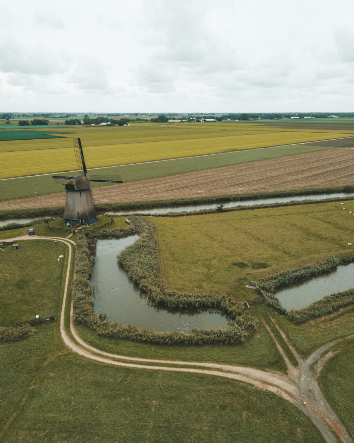 Schermerhorn dutch windmill
