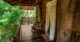 Midigama tree house