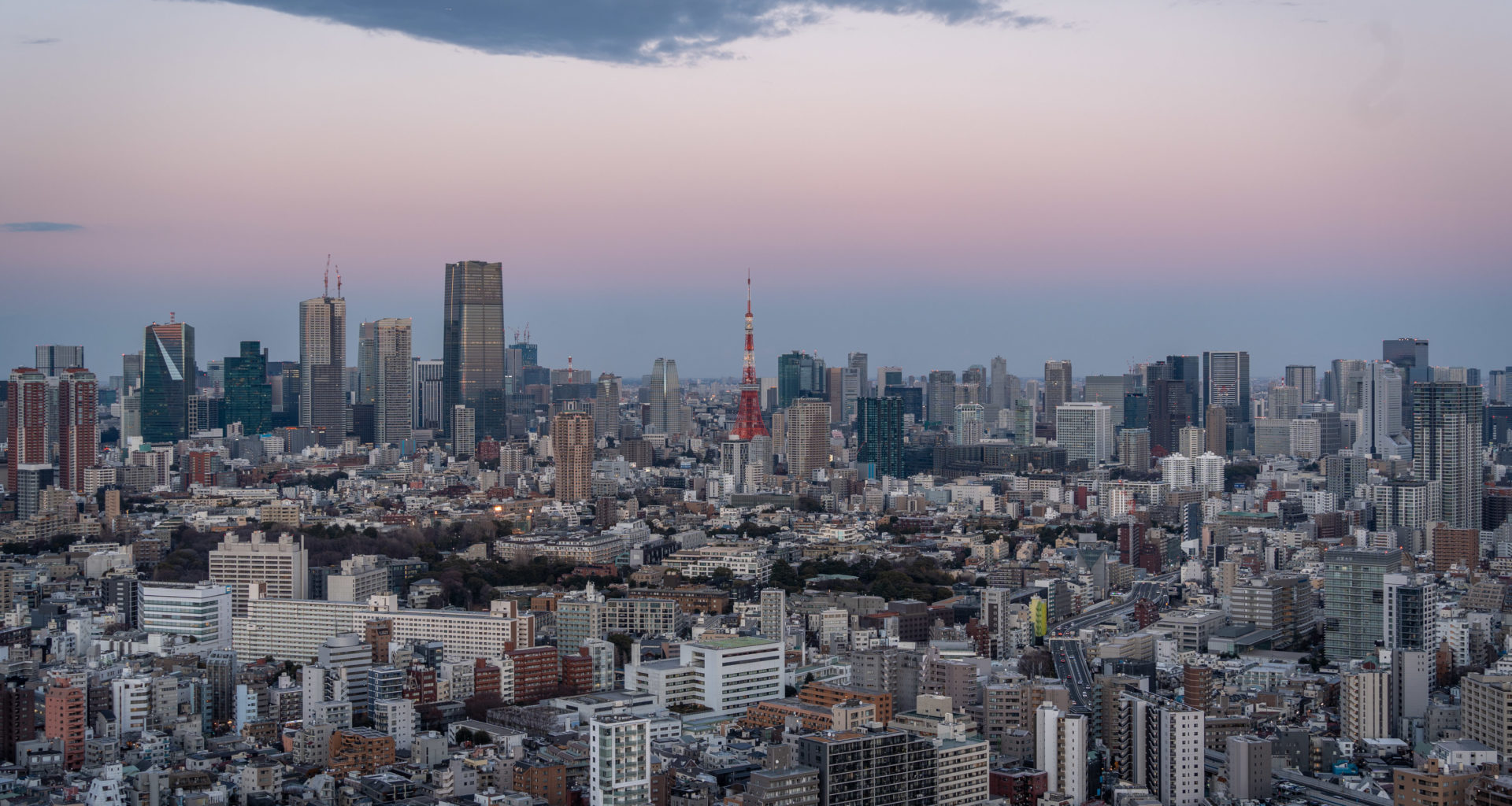 Tokyo view from Yebisu after sunset