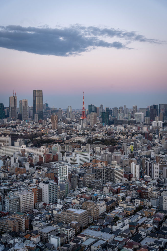 Tokyo evening view from Yebisu Sky Lounge