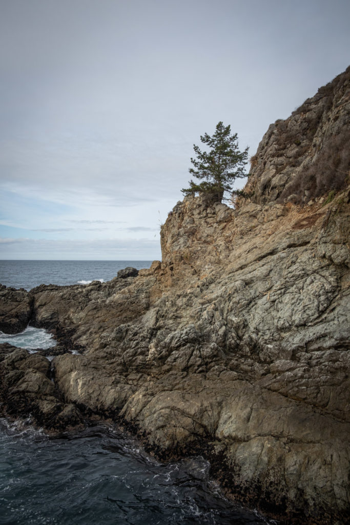 Partington Cove