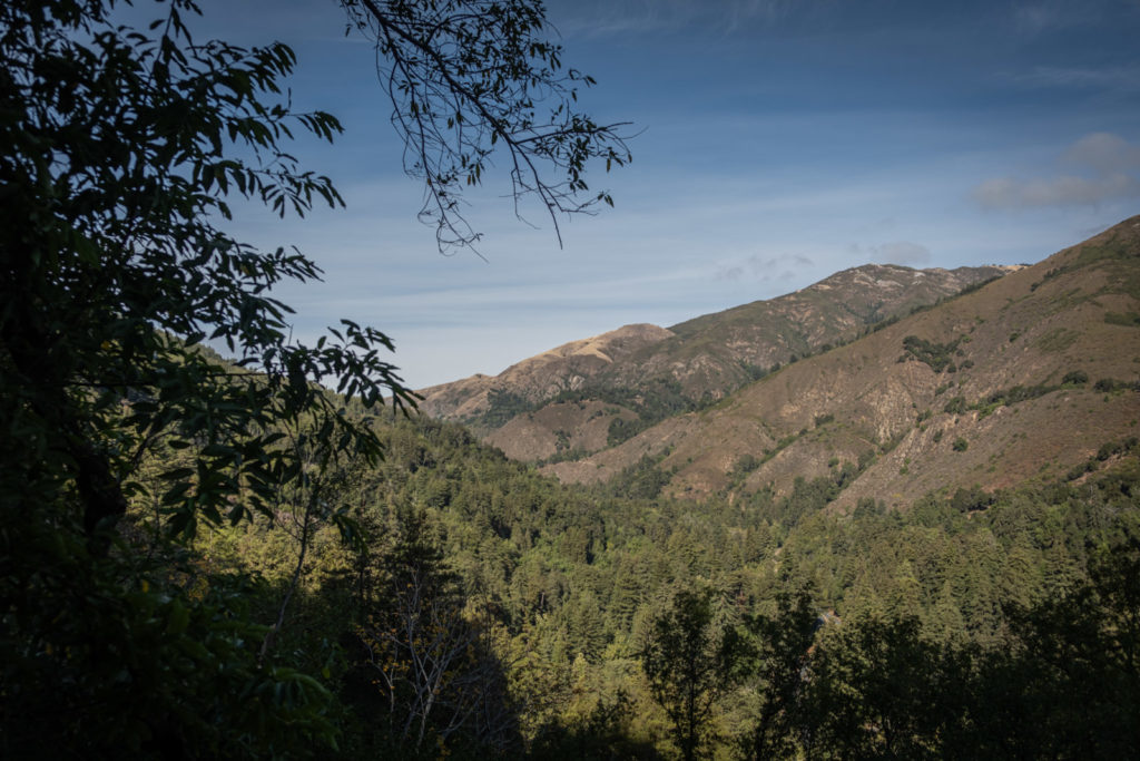 Buzzards Roost trail ocean view