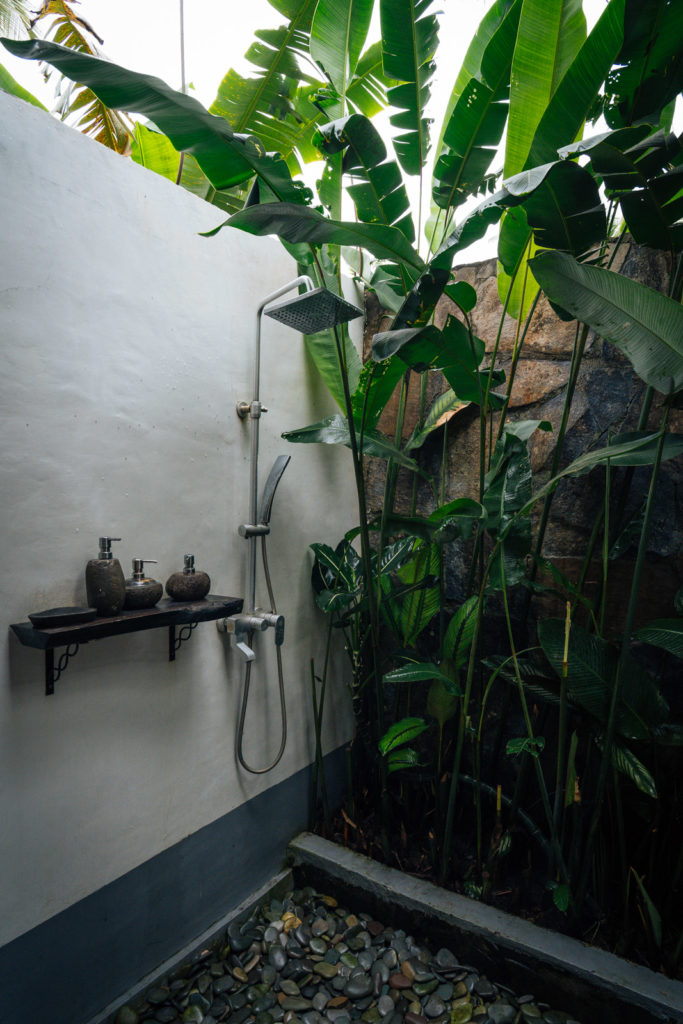 The Geckos Moni Shower