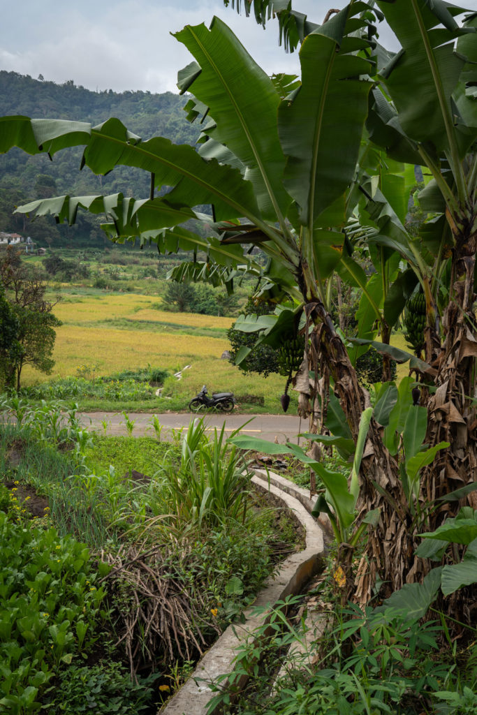 Start of the trail to Murukeba Waterfall.