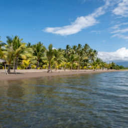 Tropical beach in Maumere, Flores.