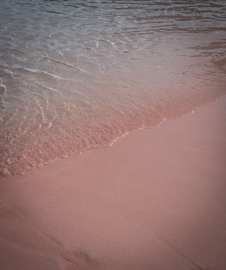 Pink beach Padar Komodo sand