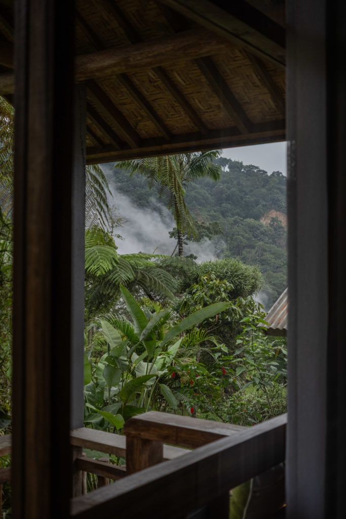 Porch view at The Geckos Homestay in Moni Flores