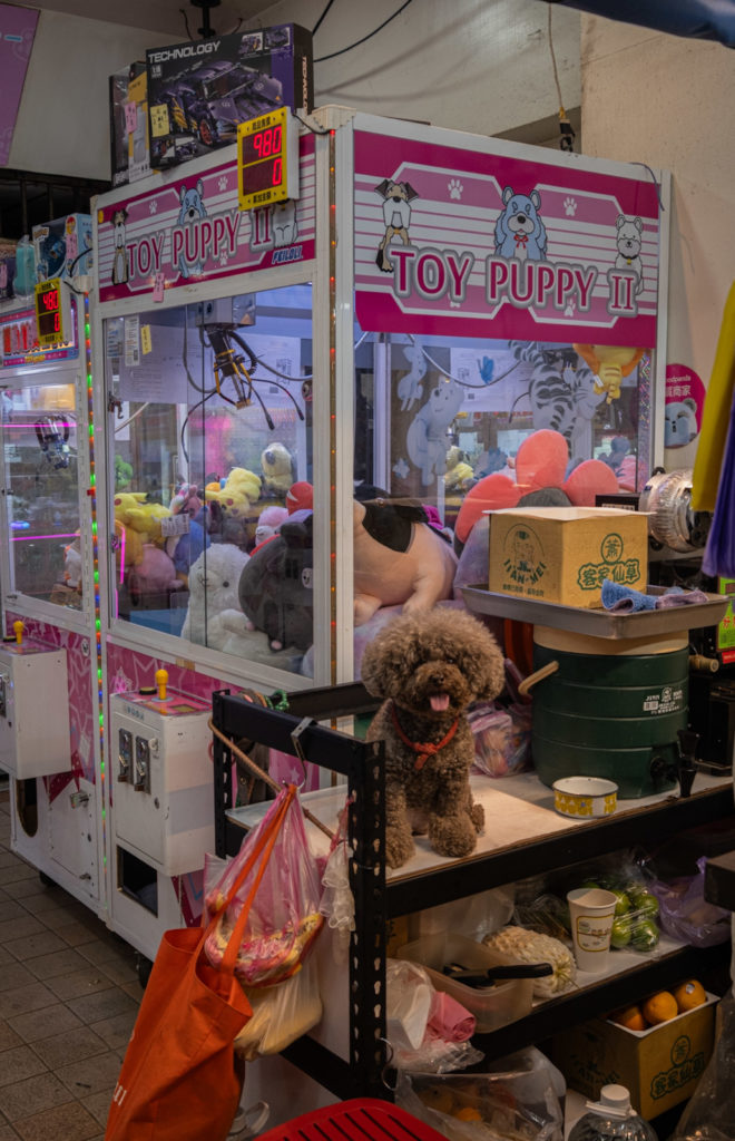 Gachapon on Raohe night market