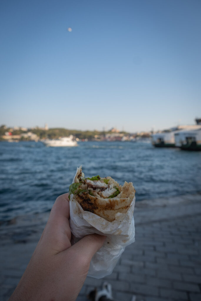 Enjoying the fish sandwich with a view!