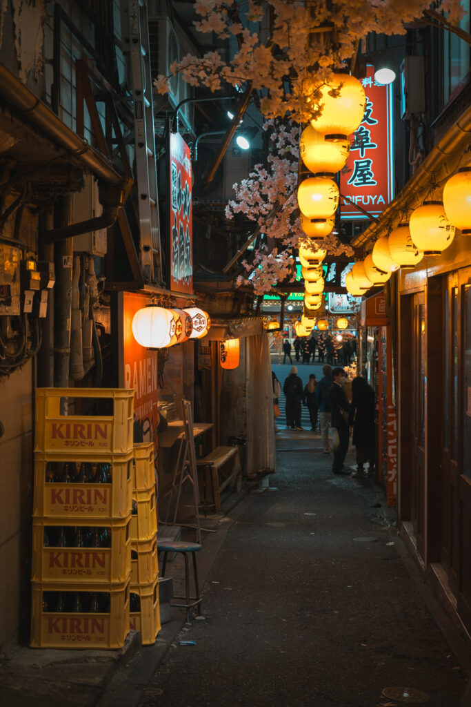 Omoide Yokocho small alley at night