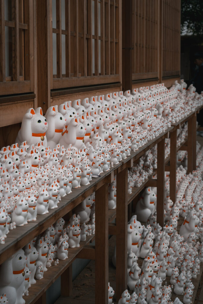 Cats at Gōtokuji Temple