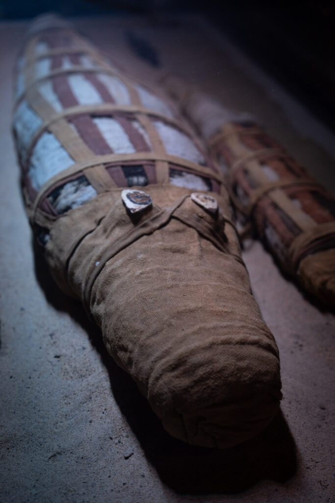 Mummified crocodiles in Kom Ombo Temple