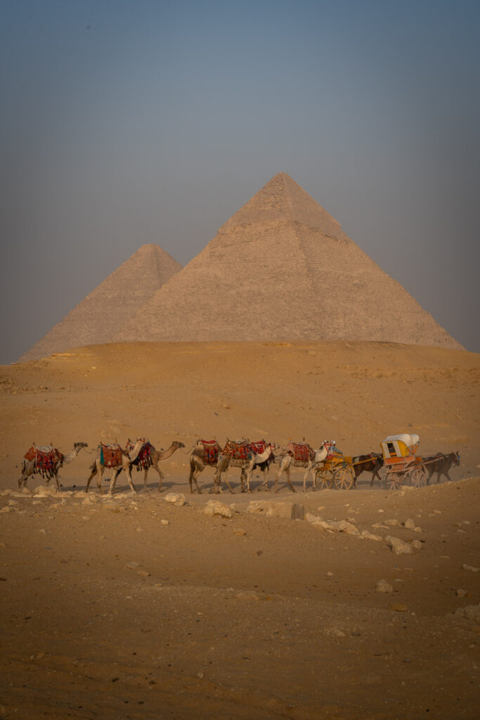 Cairo pyramids with camels in a row