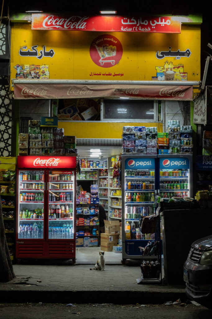 Cairo streets with cat at night.