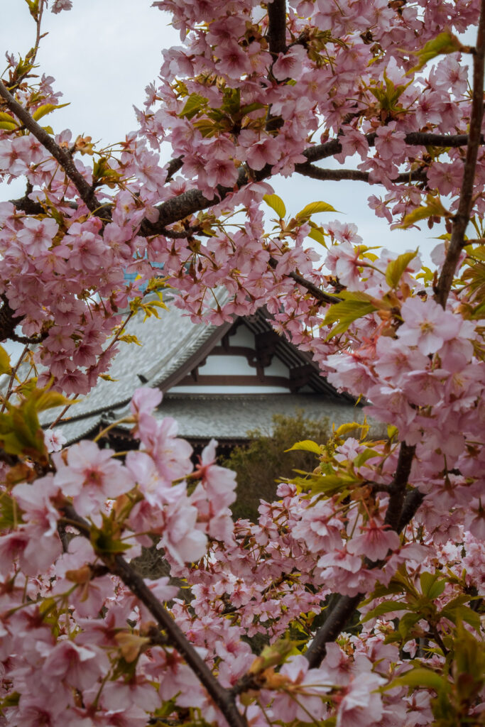 Zojo-ji Temple
