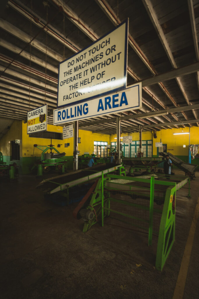 Bluefield Tea factory rolling area