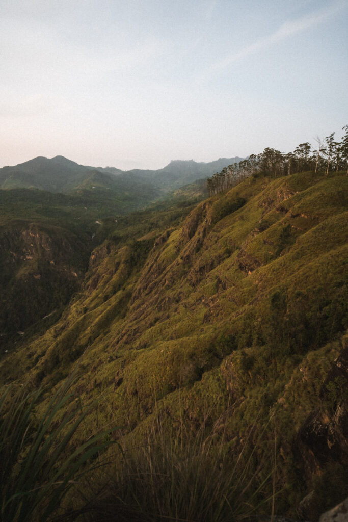 Ella Rock sunrise hike view