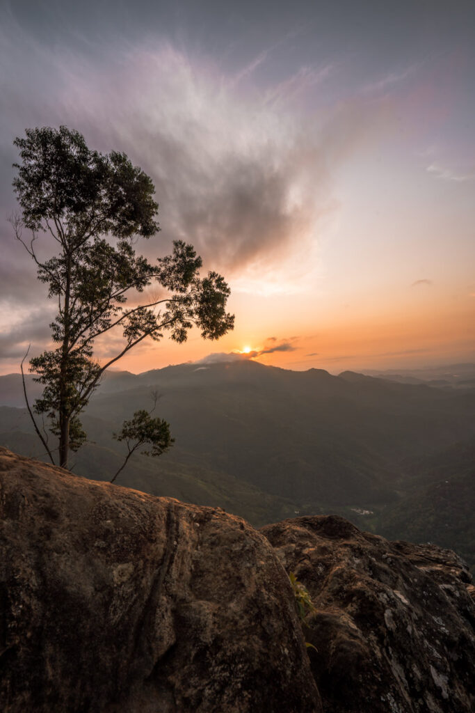Ella Rock Sunrise