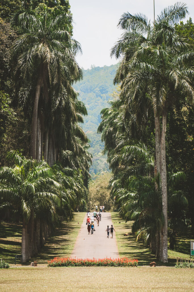 Kandy Botanical Garden