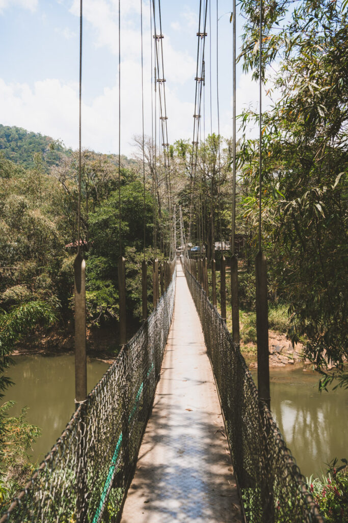 Kandy Botanical Garden suspension bridge
