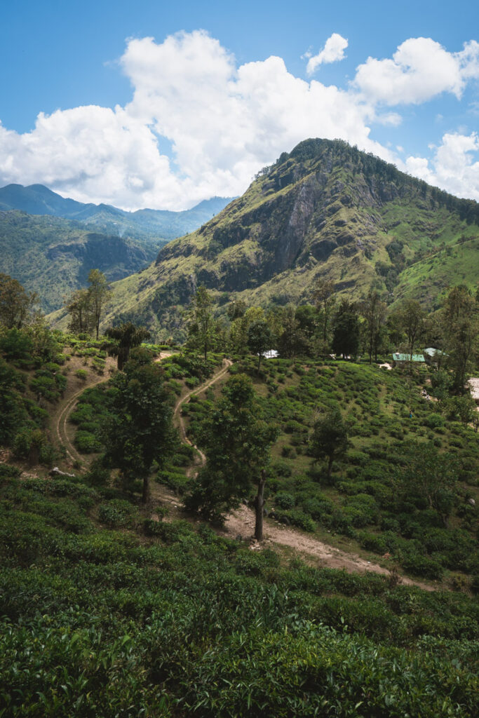 Way up to Little Adam's Peak