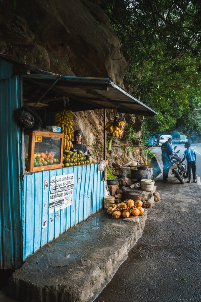 Fruits sellers near Ravana Falls