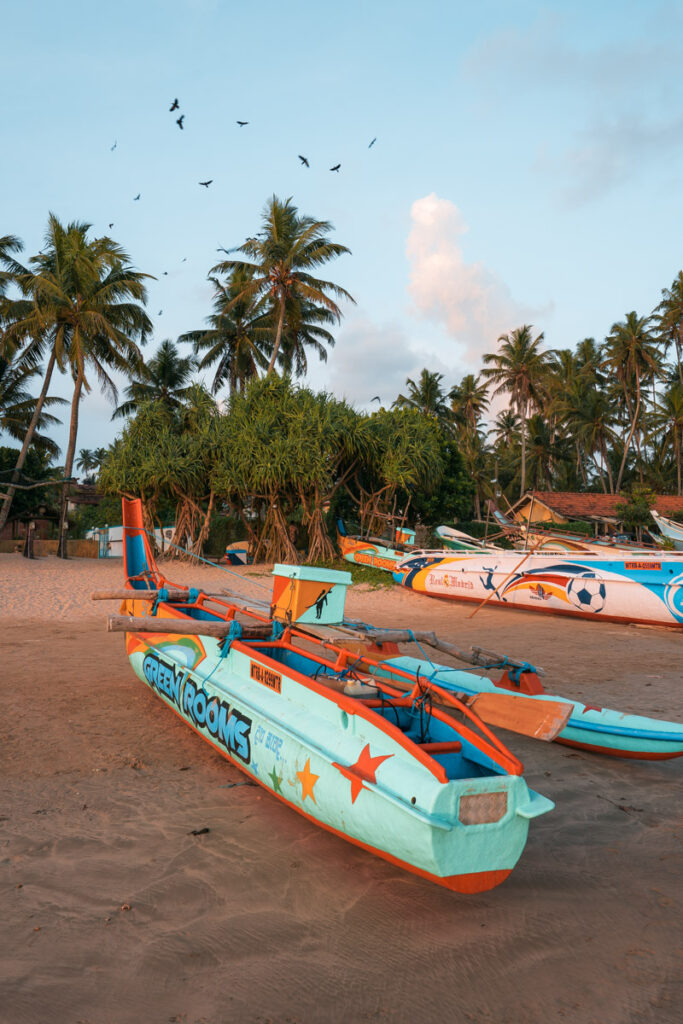 Colorful kayaks at Weligama beach during golden hour