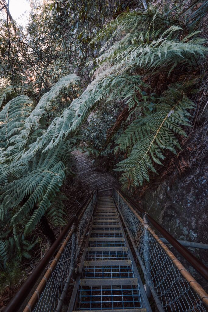 Giant Stairway valley trail
