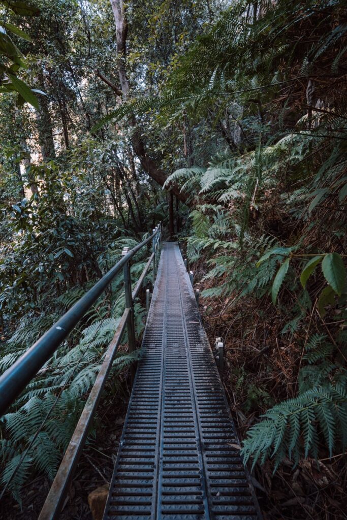 Giant Stairway valley trail