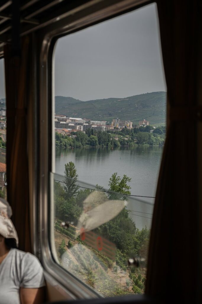 View of Regua from the train