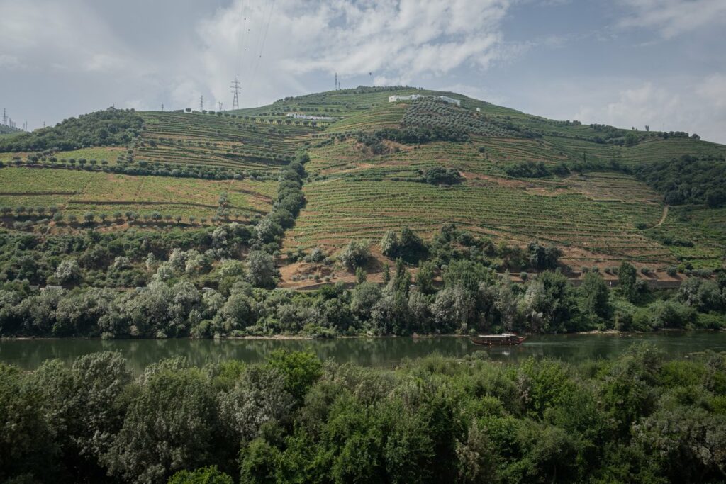 View from the train window right before arriving in Pinhão