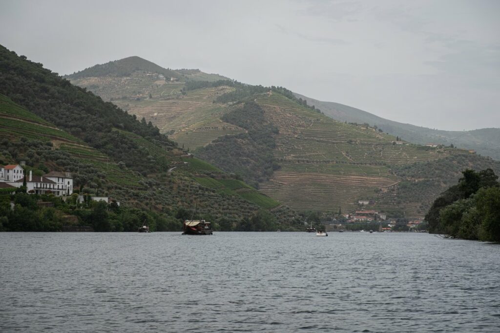 Douro valley view from the boat