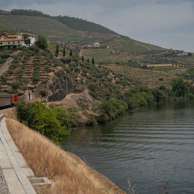 Pinhão Day Trip From Porto: By Train Through the Douro Valley