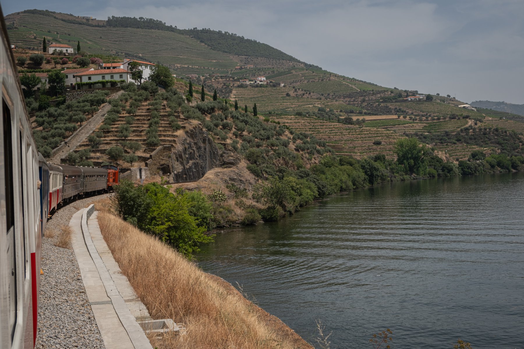 Pinhão Day Trip From Porto: By Train Through the Douro Valley
